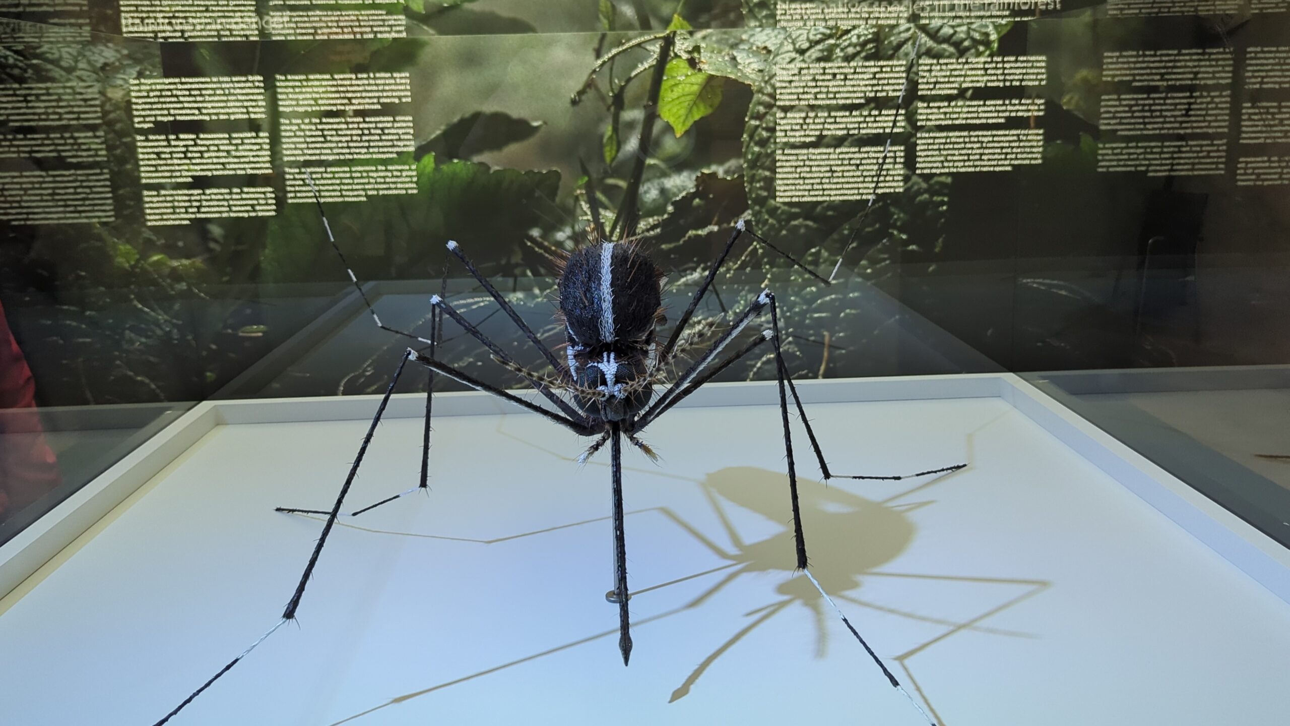Überlebensgroßes Insektenmodell im Gasometer