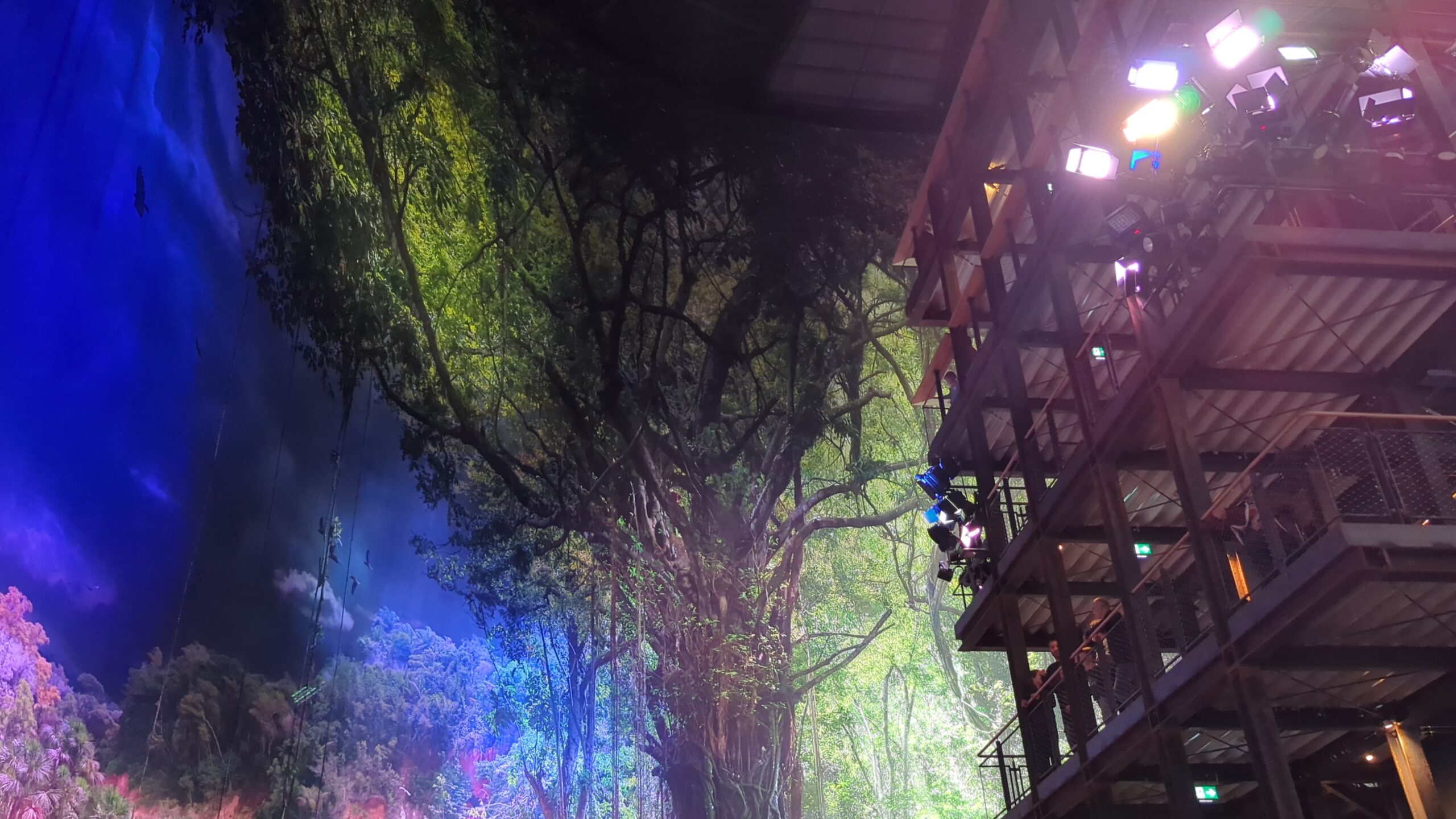 Das 360-Grad-Panorama AMAZONIEN mit Aussichtsturm und riesigen Regenwaldbäumen.