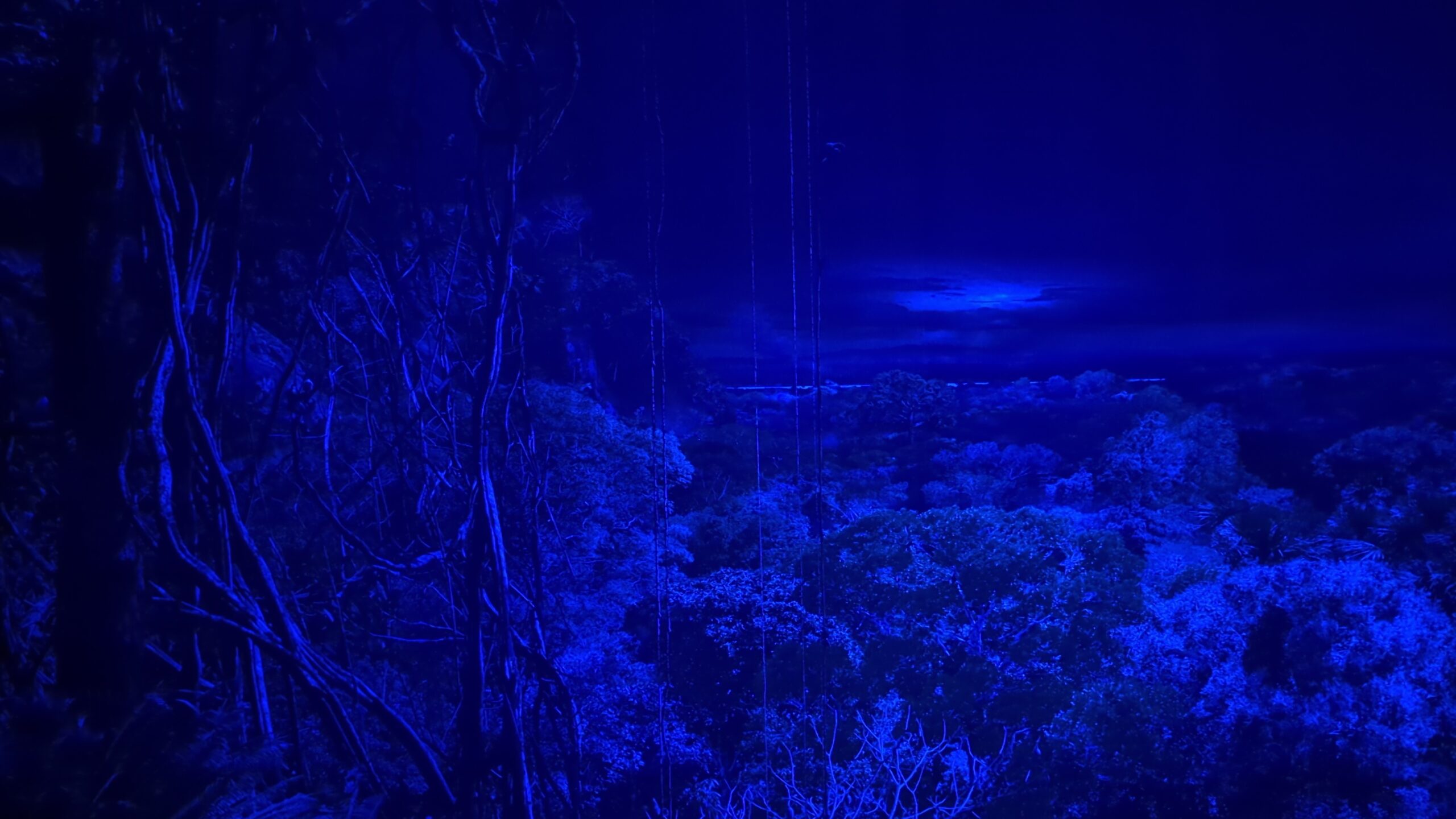 Amazonas-Panorama bei Nacht