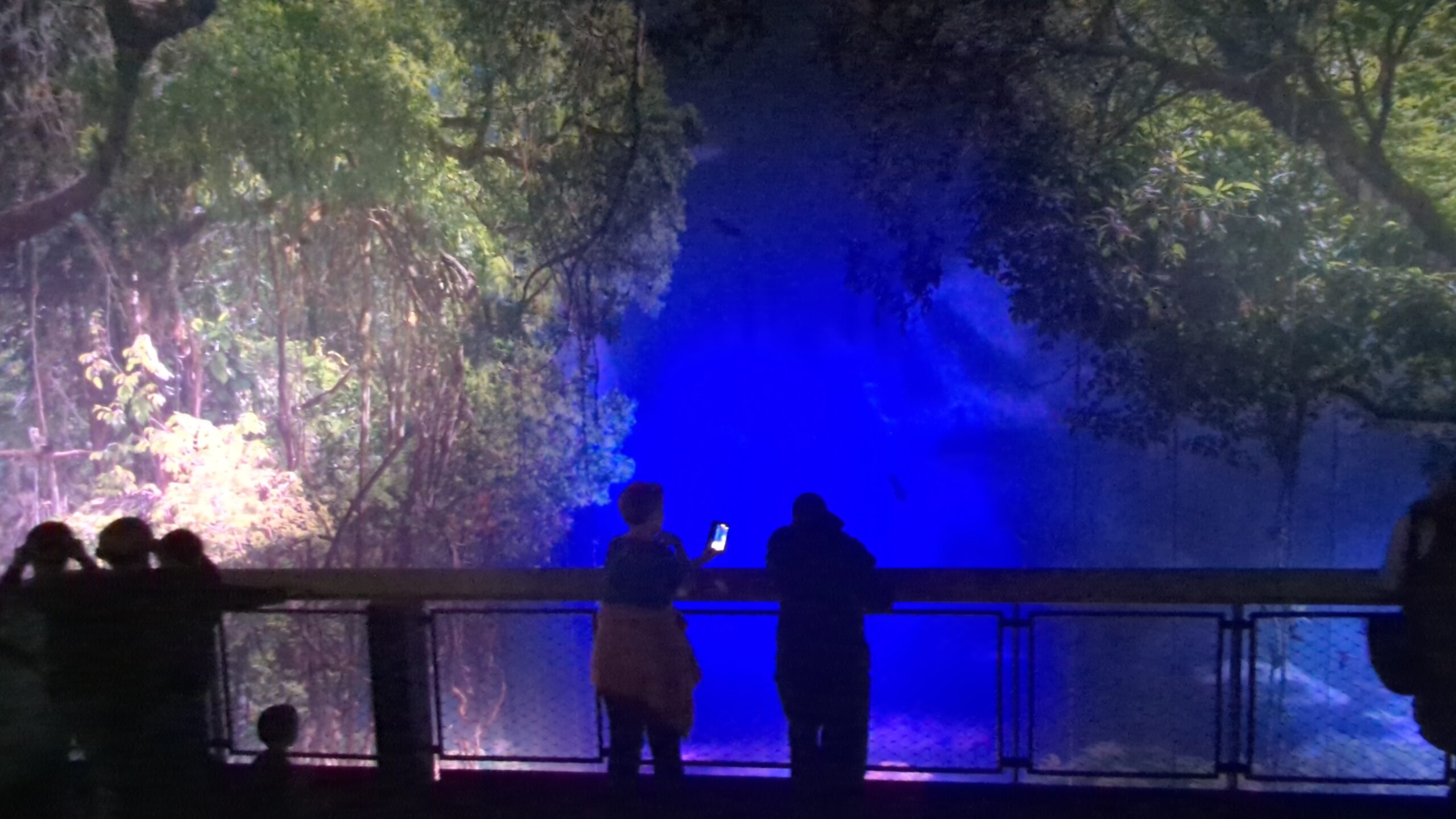 Das Amazonien-Panorama in blauer Nachtstimmung mit Besuchern am Steg.