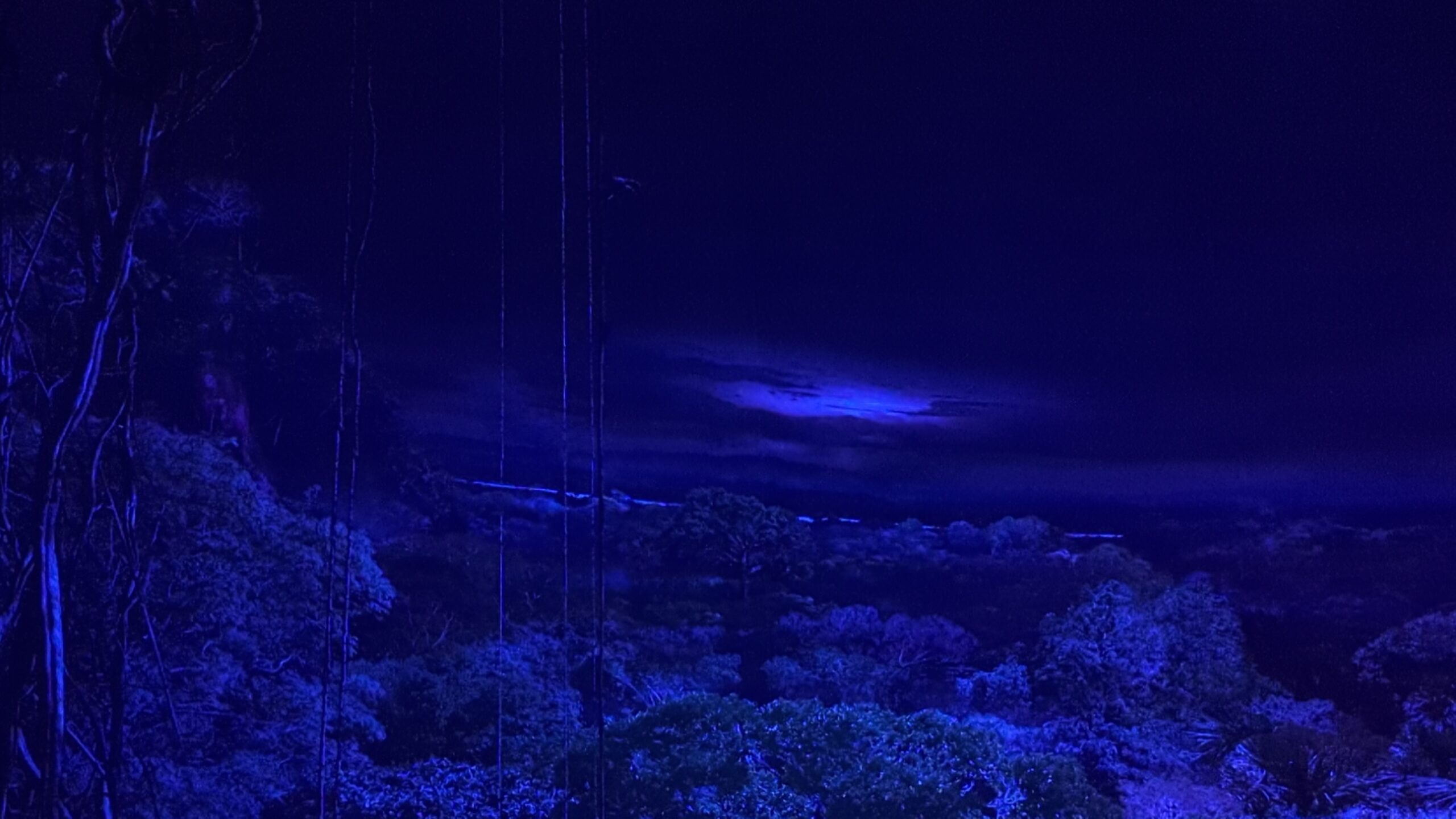 Blaue Nachtstimmung im Amazonas-Panorama