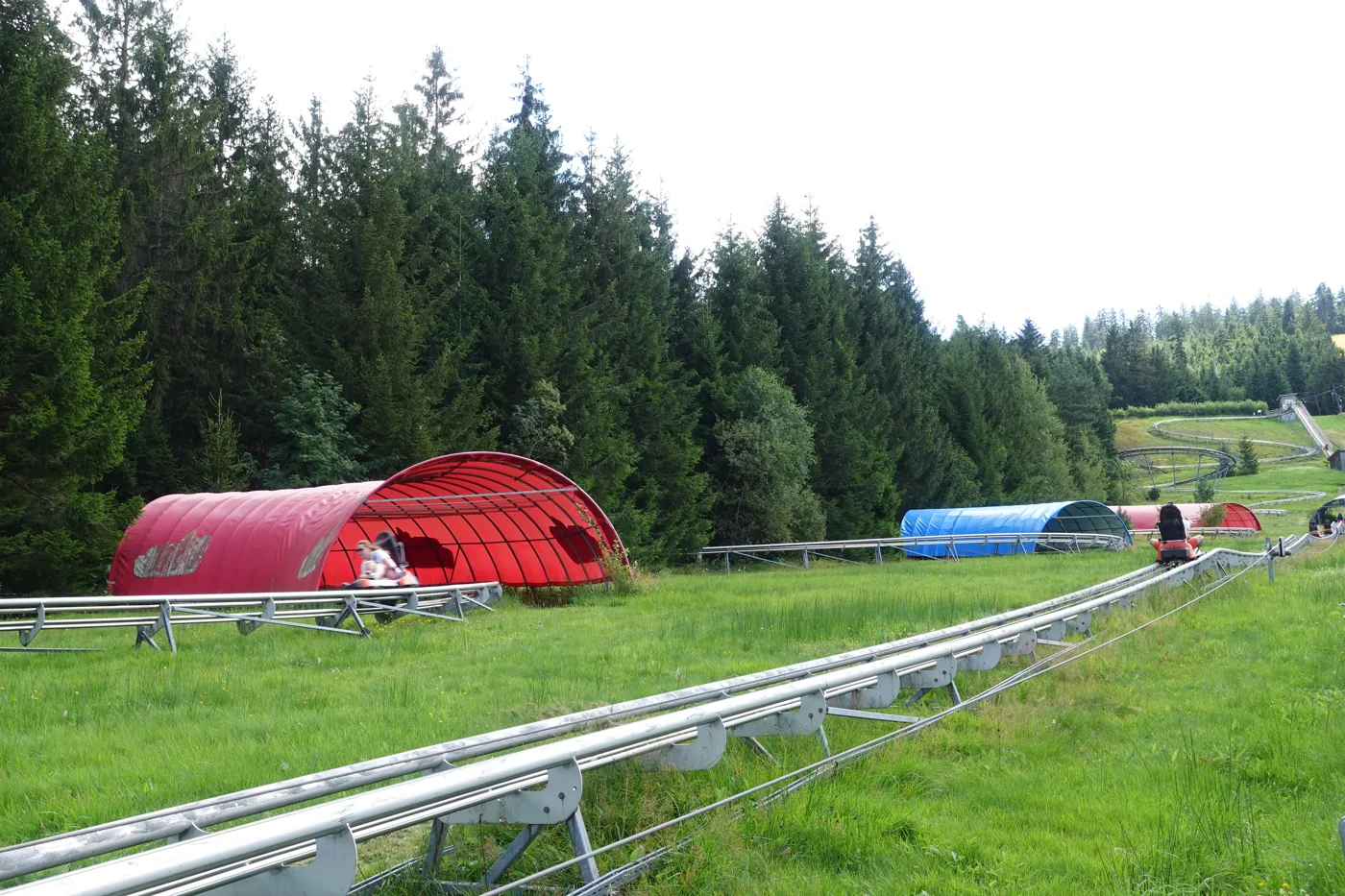 Die Sommerrodelbahn am Mehliskopf schlängelt sich durch die Wiesen.